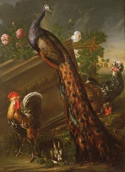 Peacock and Cockerels, 17th century